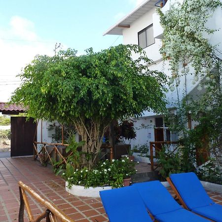 Hotel La Casa De Judy Puerto Ayora  Eksteriør billede
