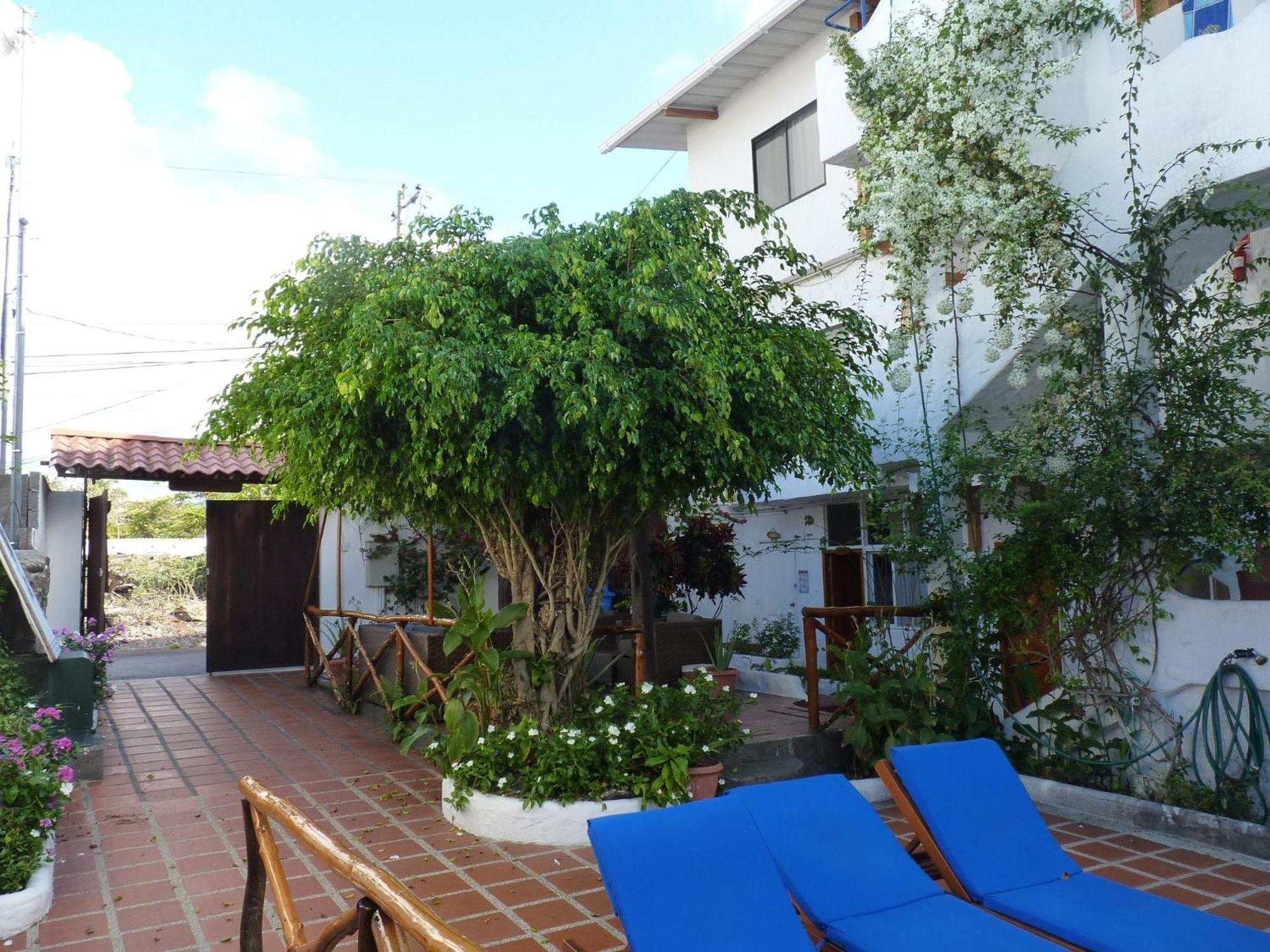 Hotel La Casa De Judy Puerto Ayora  Eksteriør billede